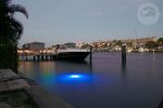 Blue Apollo Underwater LED Lighting System (80 foot power cord)