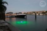 Blue/Green Apollo Iris Underwater LED Lighting System (80 foot power cord)