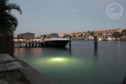 White Apollo Underwater LED Lighting System (120 foot power cord)