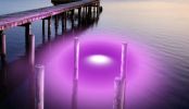 Purple Mega-Watt Underwater LED Lighting System (40 foot power cord)