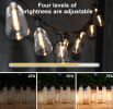 Outdoor LED string lights  Hanging back yard lights