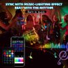 RGB IC Christmas Smart Fairy Light Bluetooth APP Control LED String Light Music Rhythm Waterproof 2023 Xmas Light Party New Year